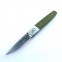 Knife Ganzo G7211 (Black, Green)-2