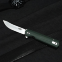 Knife Firebird by Ganzo FH11S (Black, Green, Gray)-13