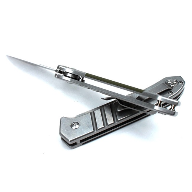 Knife Ganzo G719 (Black, Green)