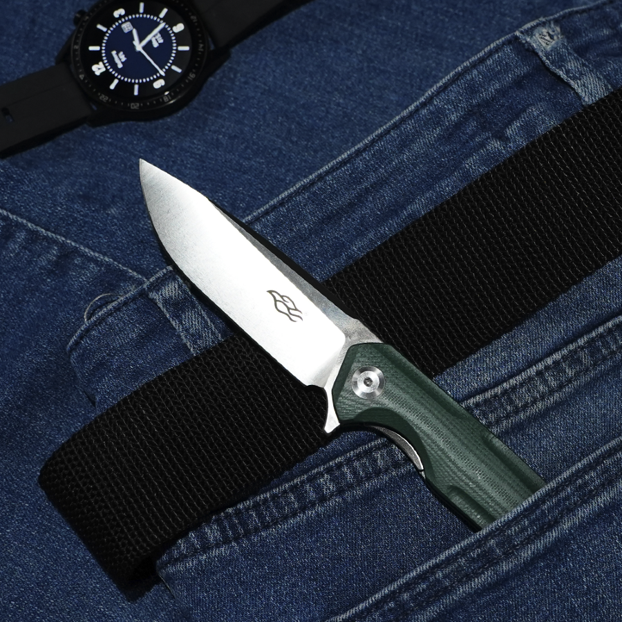 Closing knife Ganzo Firebird FH91 black