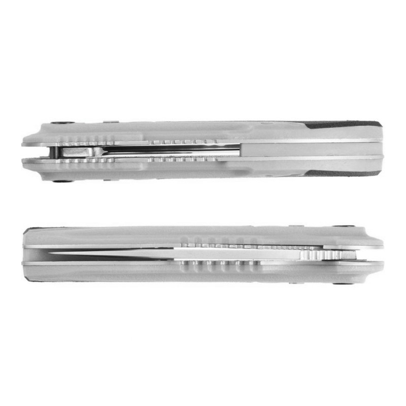 Knife Ganzo G621