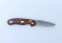 Knife Ganzo G727M-WD1, Wood-3