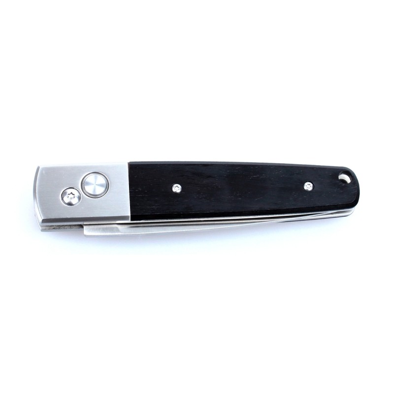 Knife Ganzo G7211-WD2