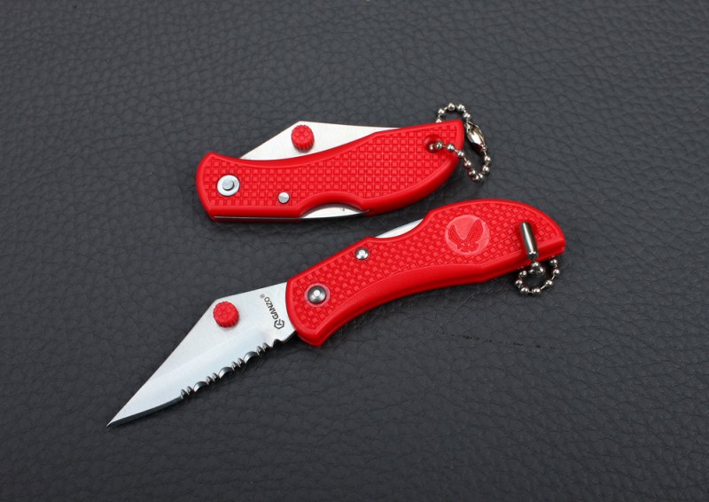Knife Ganzo G623S