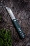 Knife Firebird by Ganzo FH11 (Black, Green)-25