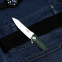 Knife Firebird by Ganzo FH21 (black, green, blue)-13